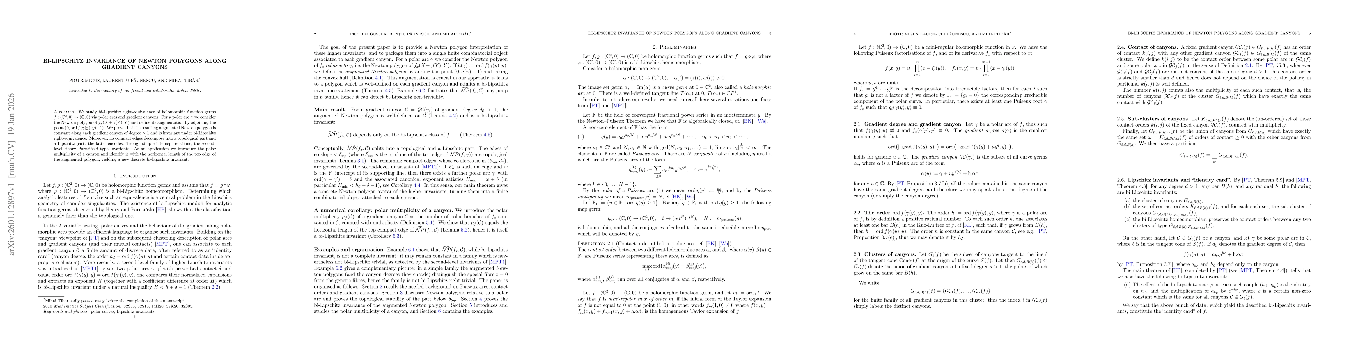Thumbnail for Bi-Lipschitz invariance of Newton polygons along gradient canyons