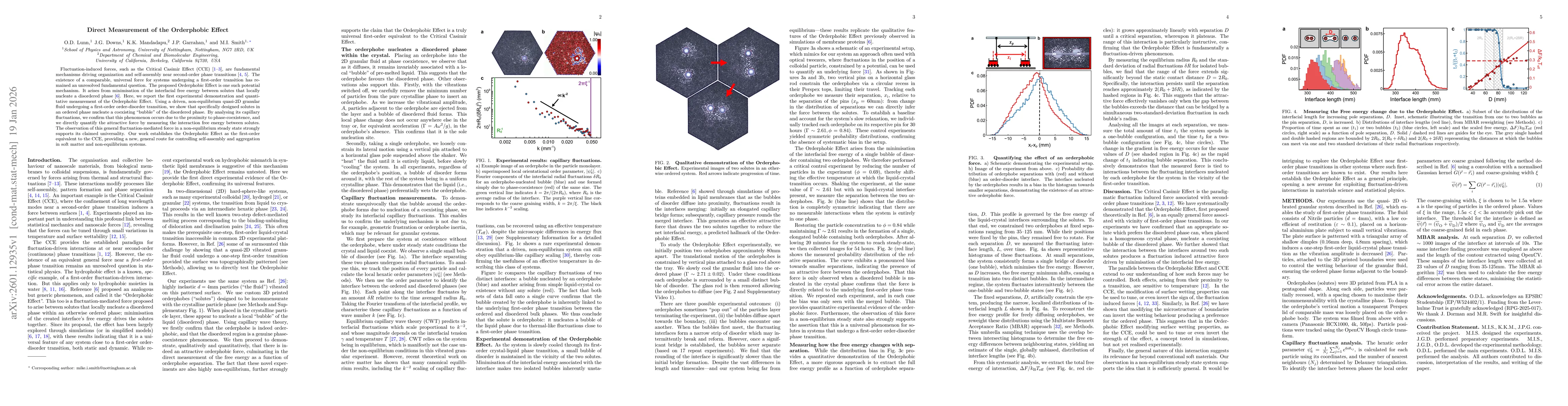 Thumbnail for Direct measurement of the Orderphobic Effect