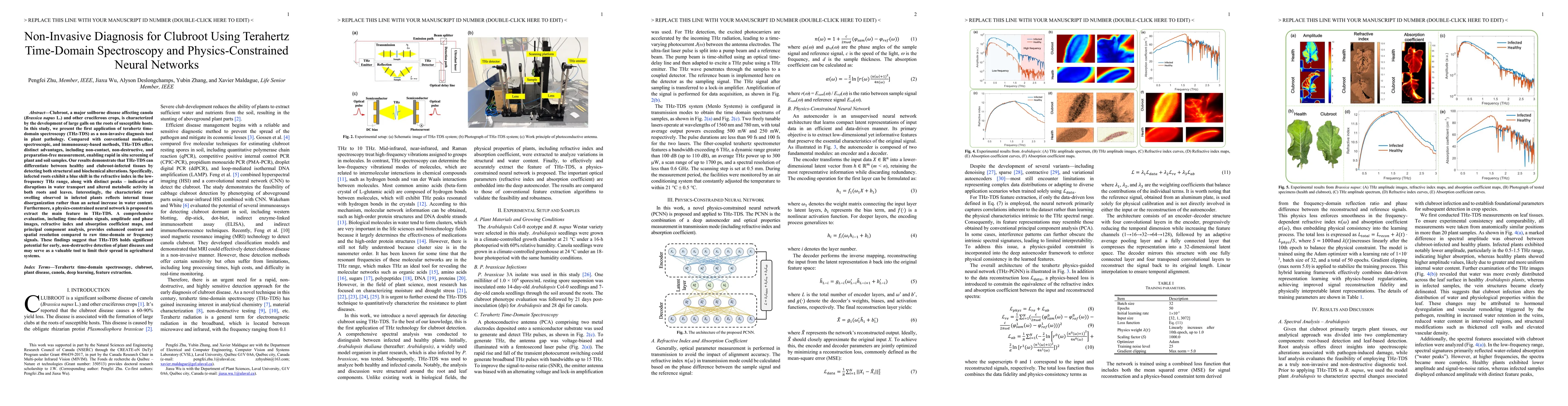 Thumbnail for Non-Invasive Diagnosis for Clubroot Using Terahertz Time-Domain Spectroscopy and Physics-Constrained Neural Networks