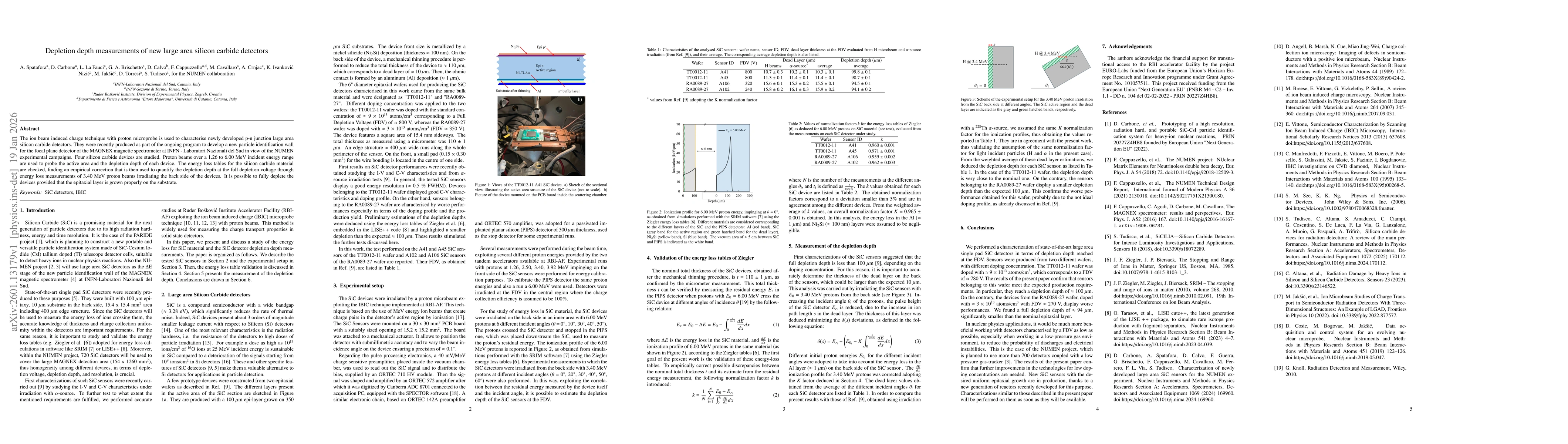 Thumbnail for Depletion depth measurements of new large area silicon carbide detectors