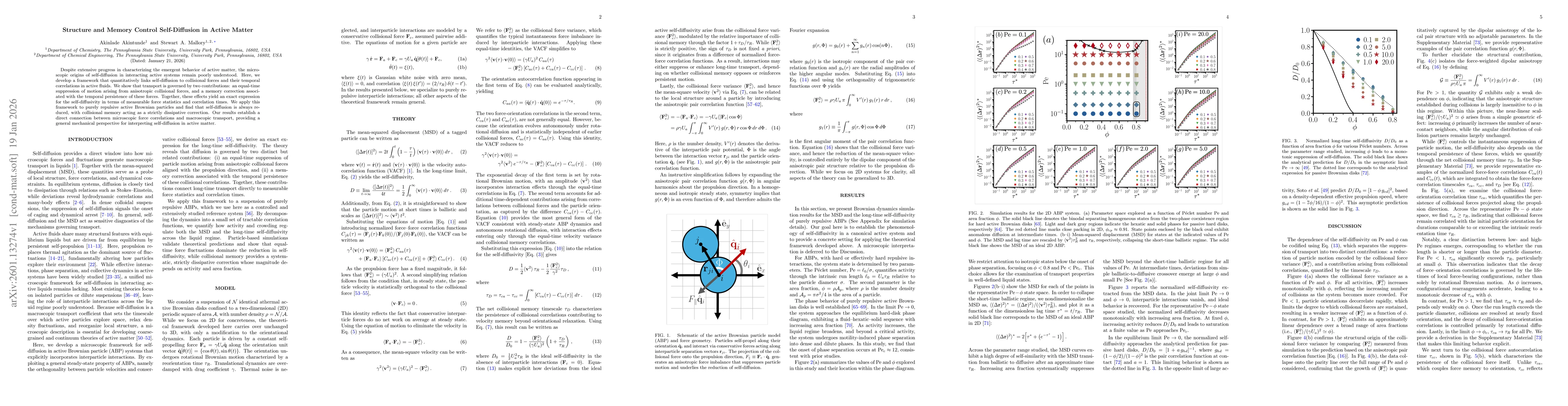 Thumbnail for Structure and Memory Control Self-Diffusion in Active Matter