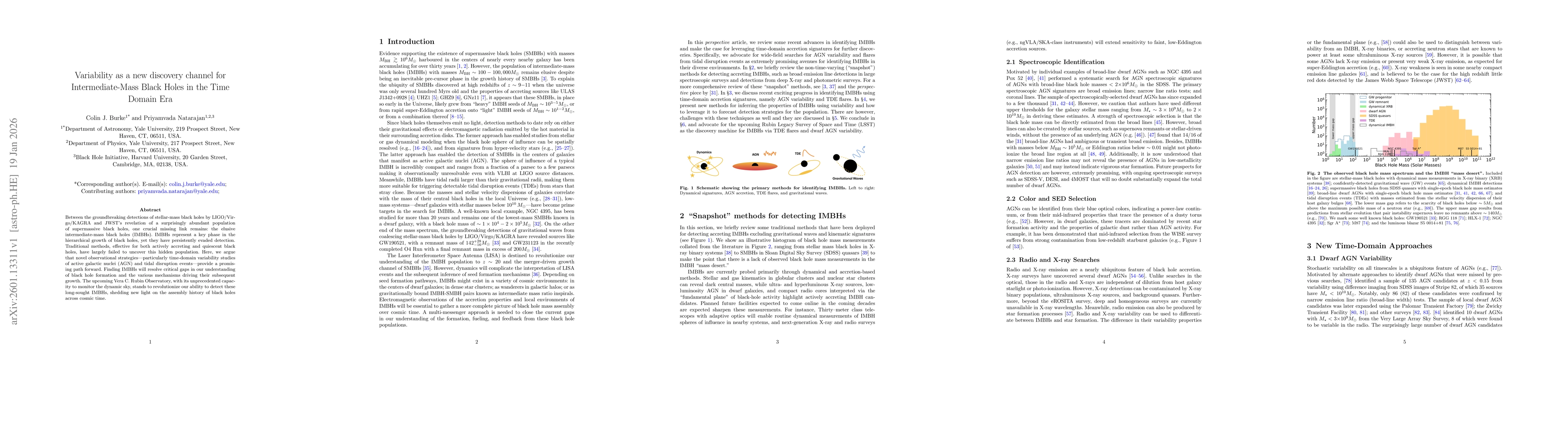 Thumbnail for Variability as a new discovery channel for Intermediate-Mass Black Holes in the Time Domain Era