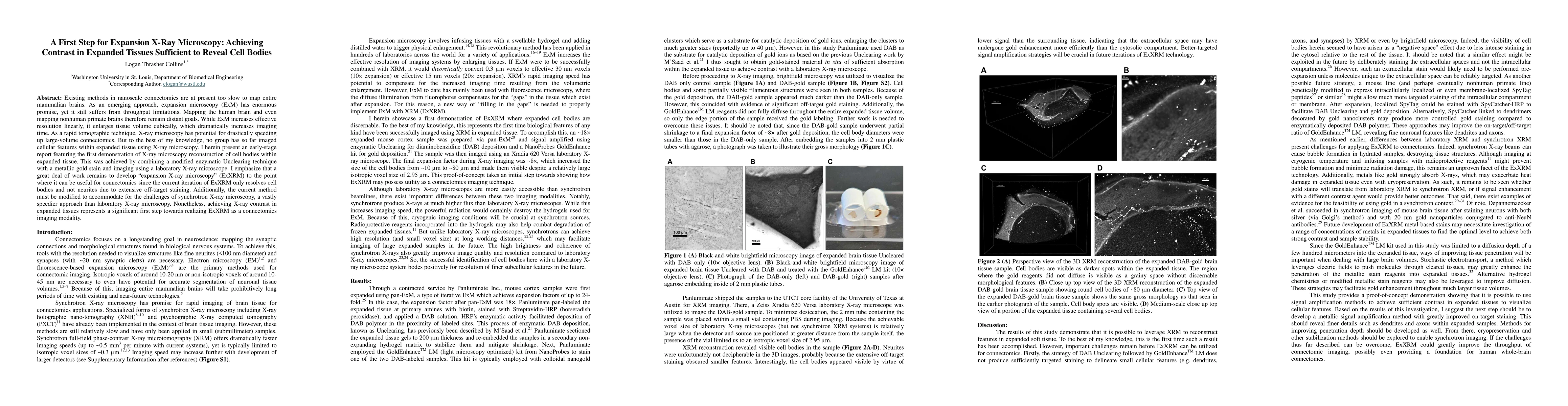 Thumbnail for A First Step for Expansion X-Ray Microscopy: Achieving Contrast in Expanded Tissues Sufficient to Reveal Cell Bodies