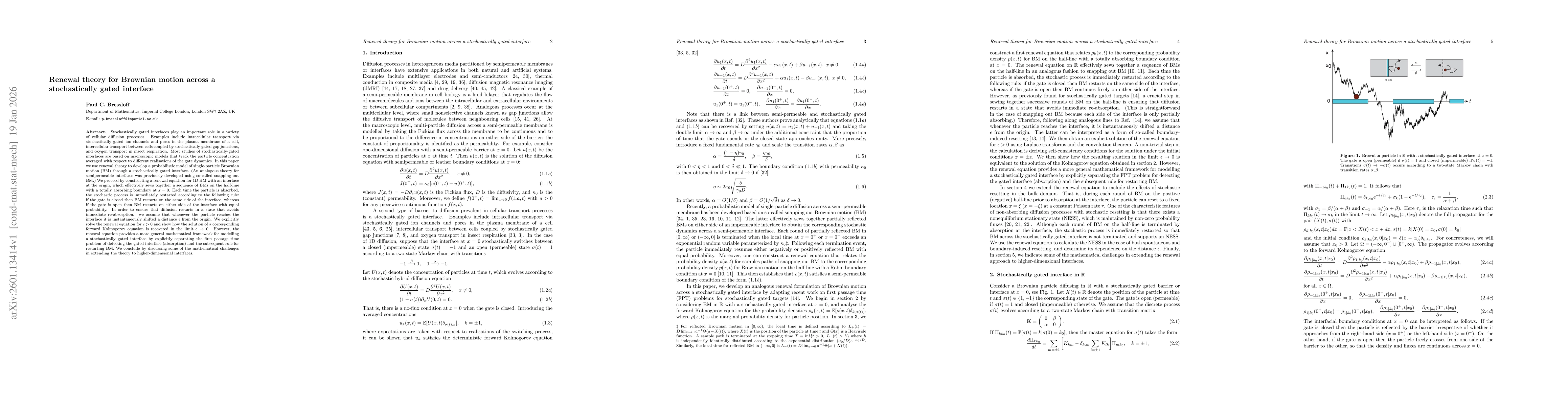 Thumbnail for Renewal theory for Brownian motion across a stochastically gated interface