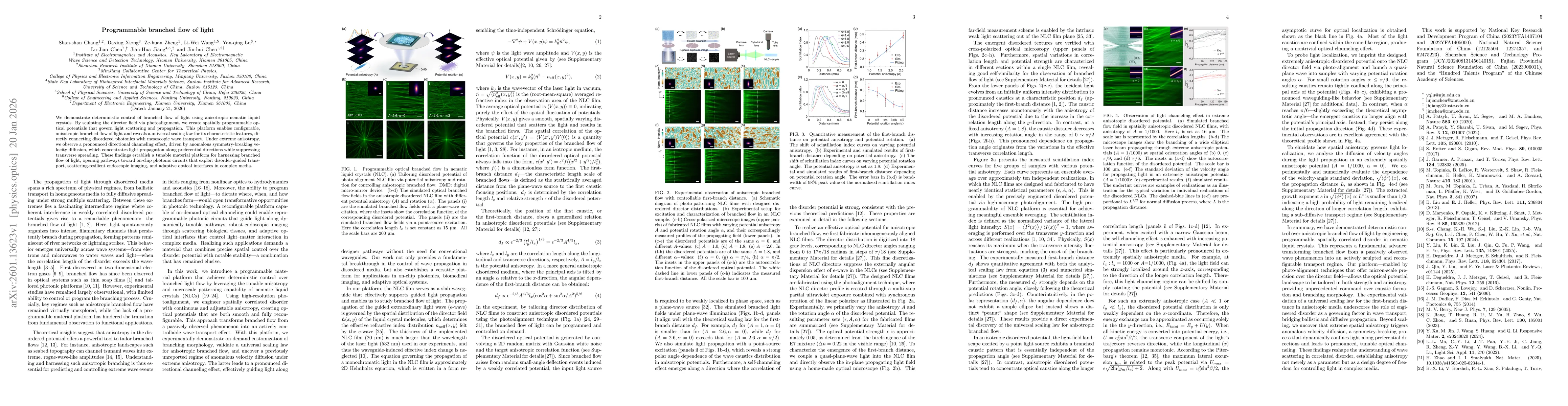 Thumbnail for Programmable branched flow of light
