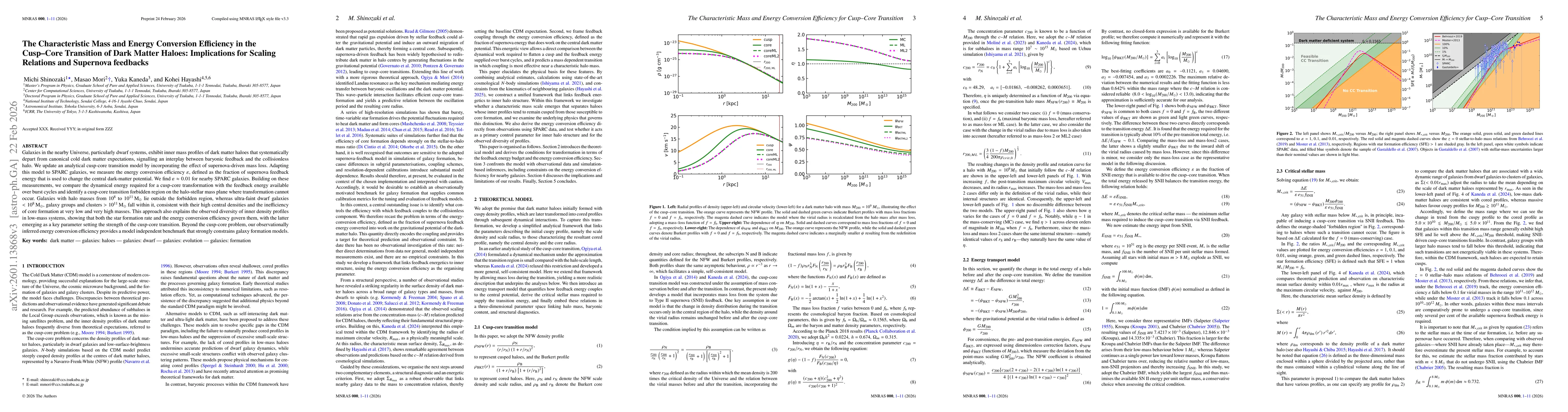 Thumbnail for The Characteristic Mass and Energy Conversion Efficiency in the Cusp-Core Transition of Dark Matter Haloes: Implications for Scaling Relations and Supernova feedbacks