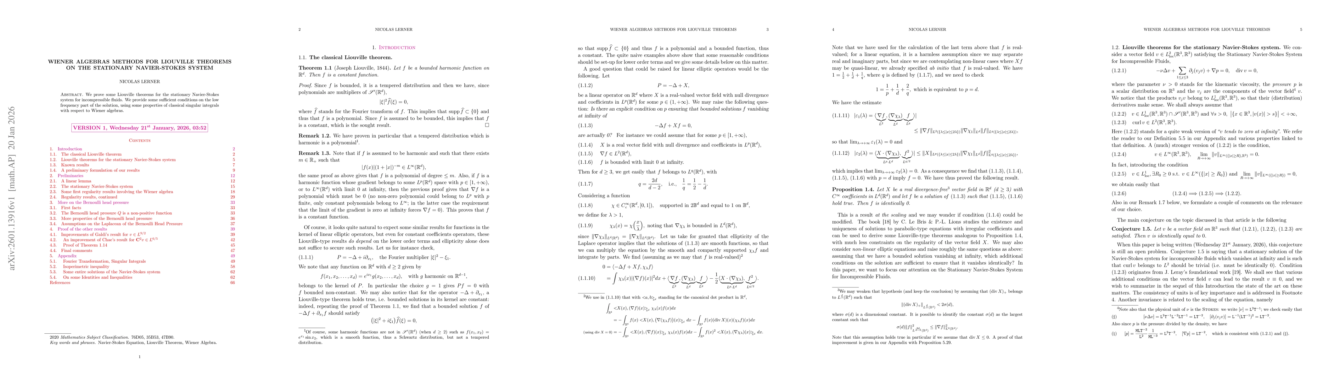 Thumbnail for Wiener Algebras Methods for Liouville Theorems on the Stationary Navier-Stokes System
