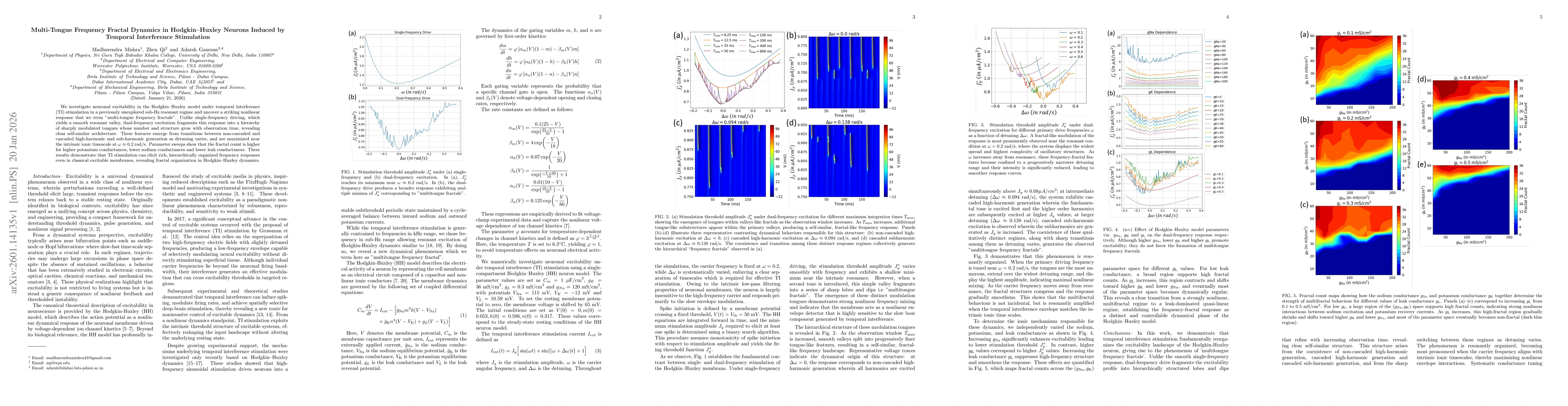 Thumbnail for Multi-Tongue Frequency Fractal Dynamics in Hodgkin-Huxley Neurons Induced by Temporal Interference Stimulation