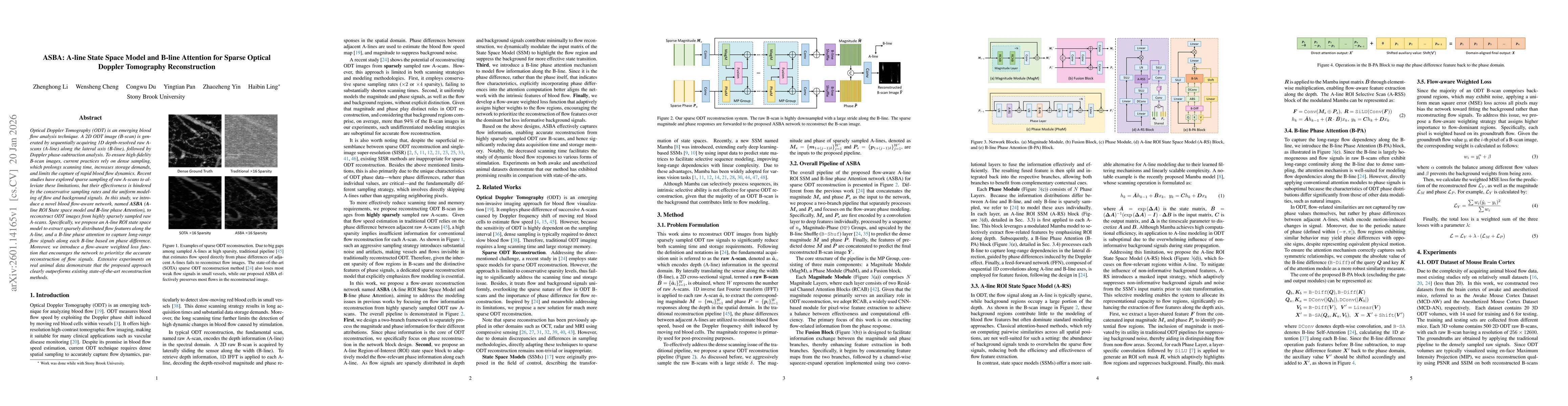 Thumbnail for ASBA: A-line State Space Model and B-line Attention for Sparse Optical Doppler Tomography Reconstruction