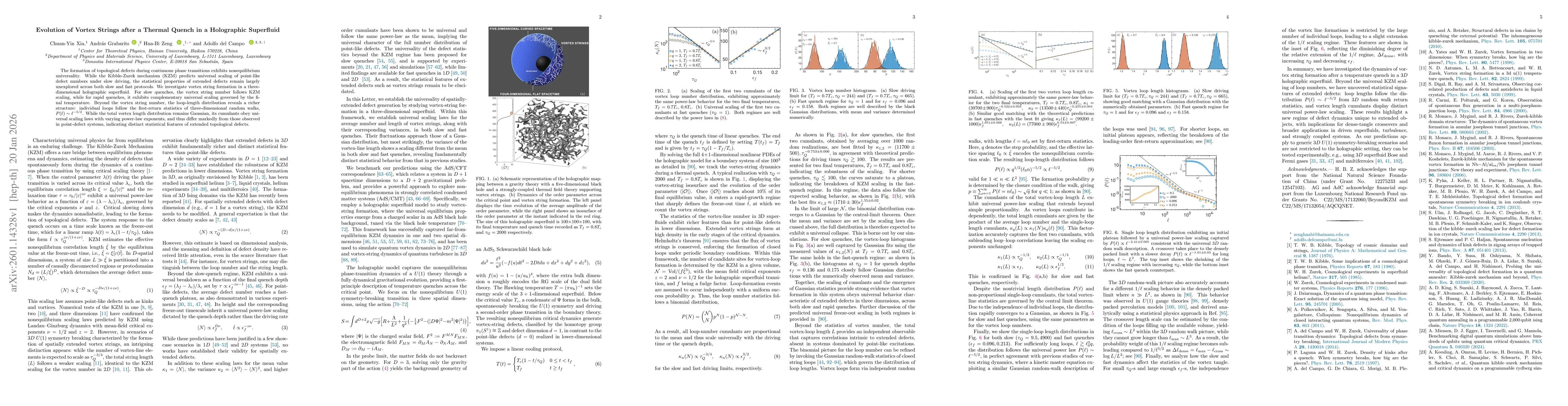 Thumbnail for Evolution of Vortex Strings after a Thermal Quench in a Holographic Superfluid