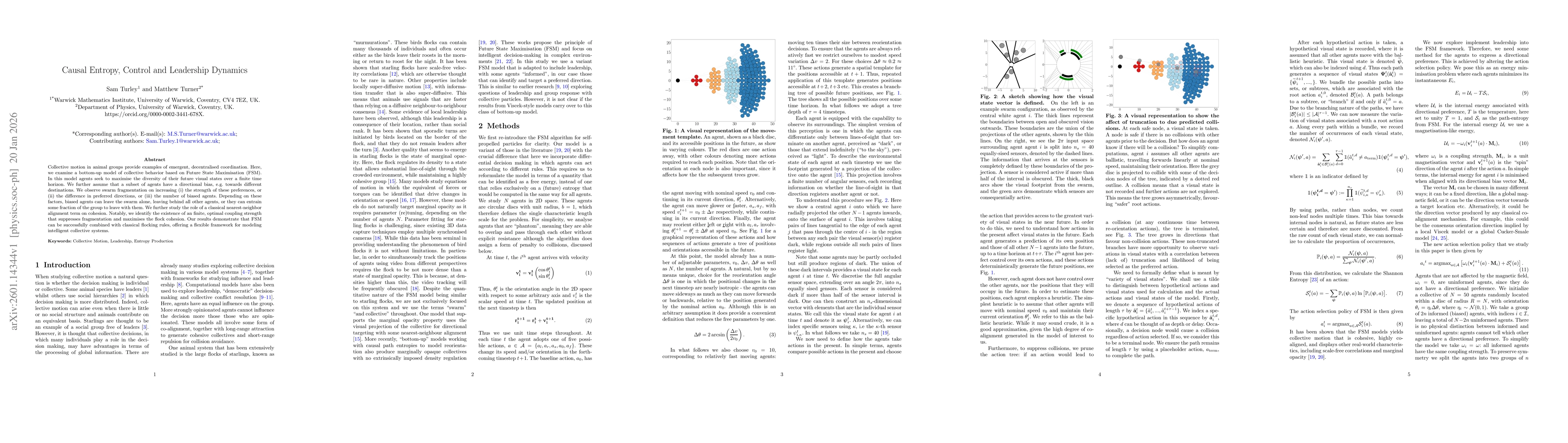 Thumbnail for Causal Entropy, Control and Leadership Dynamics