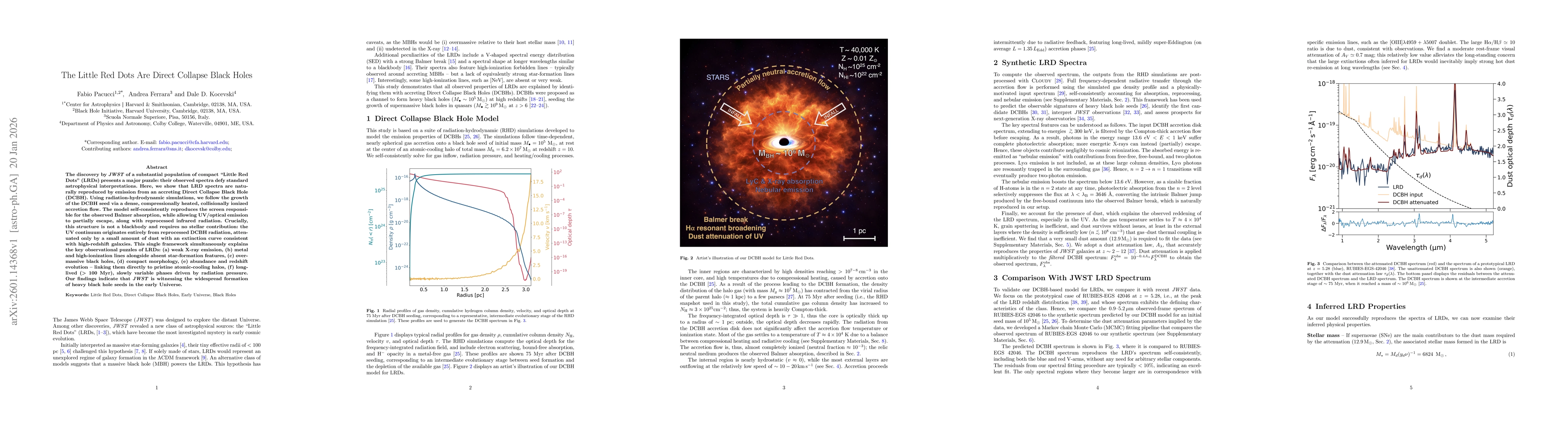 Thumbnail for The Little Red Dots Are Direct Collapse Black Holes