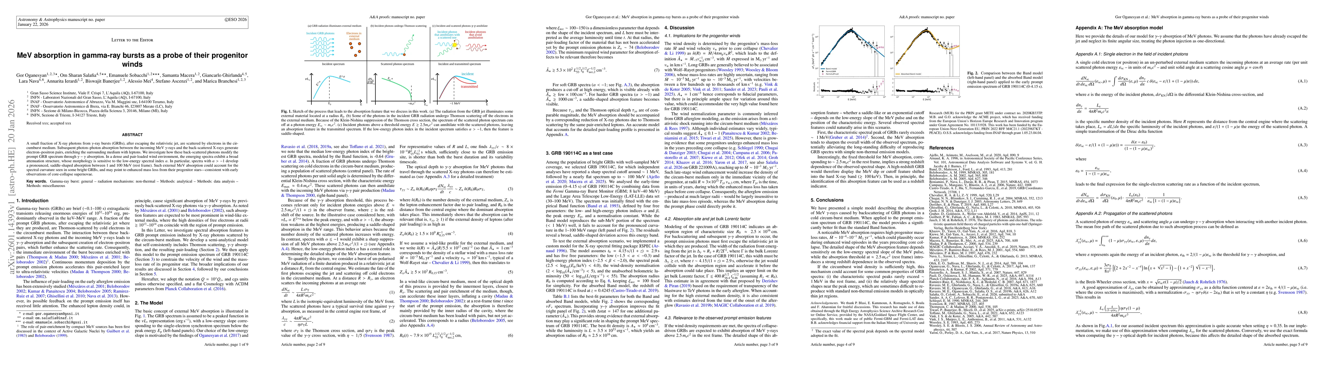 Thumbnail for MeV absorption in gamma-ray bursts as a probe of their progenitor winds