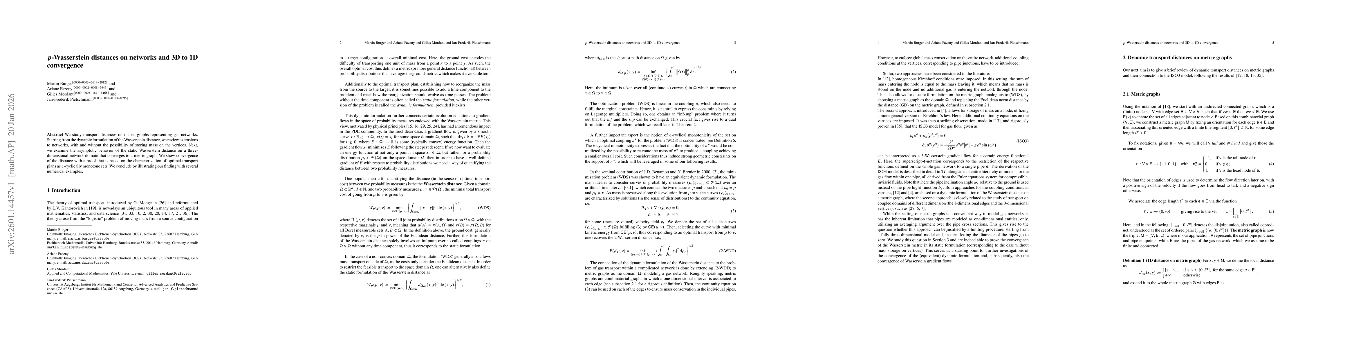 Thumbnail for p-Wasserstein distances on networks and 3D to 1D convergence