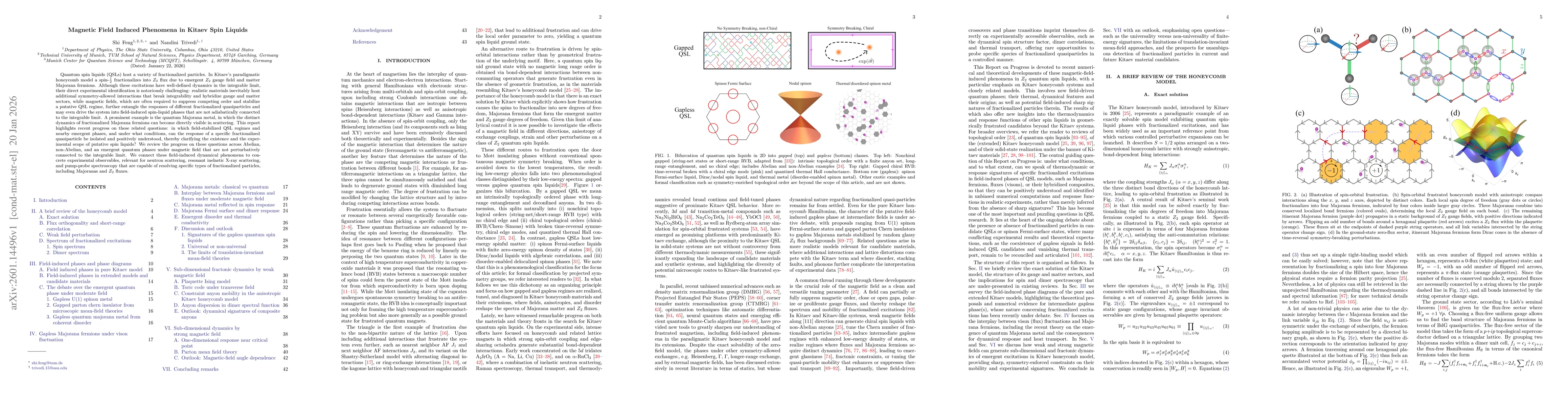 Thumbnail for Magnetic field induced phenomena in Kitaev spin liquids