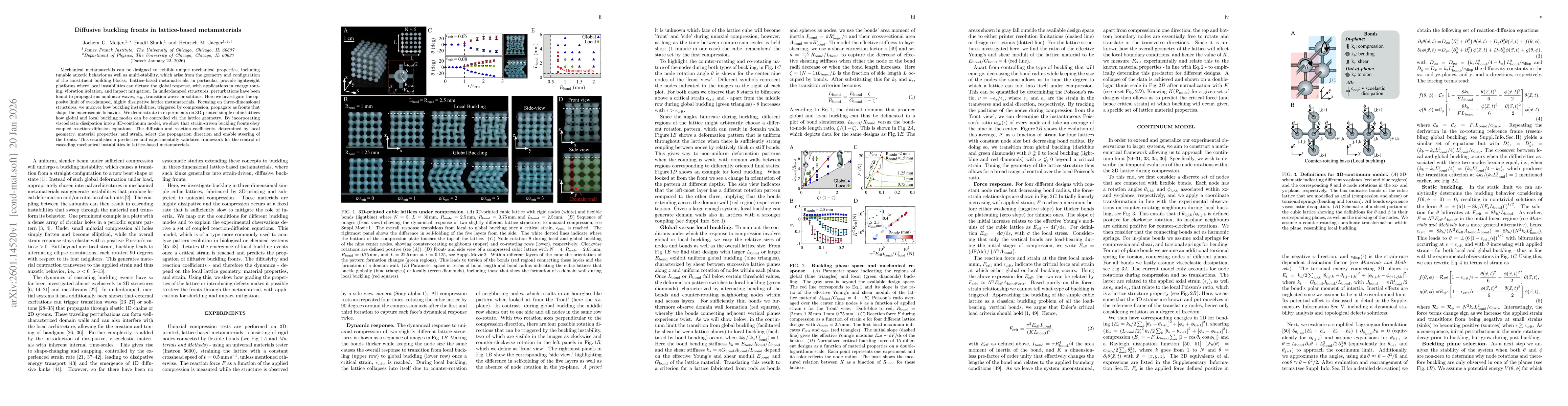 Thumbnail for Diffusive buckling fronts in lattice-based metamaterials