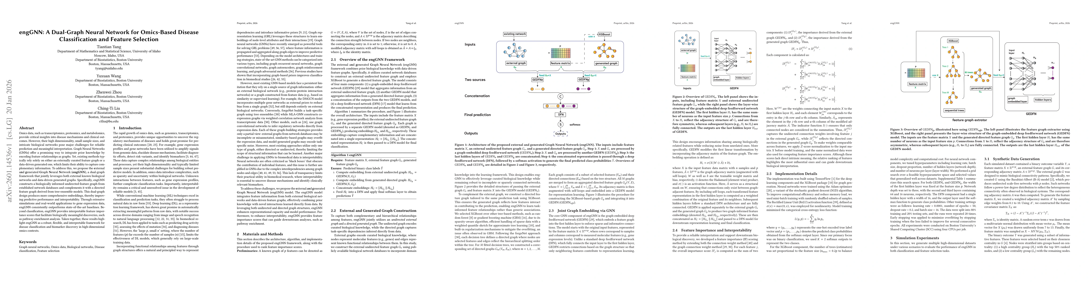 Thumbnail for engGNN: A Dual-Graph Neural Network for Omics-Based Disease Classification and Feature Selection