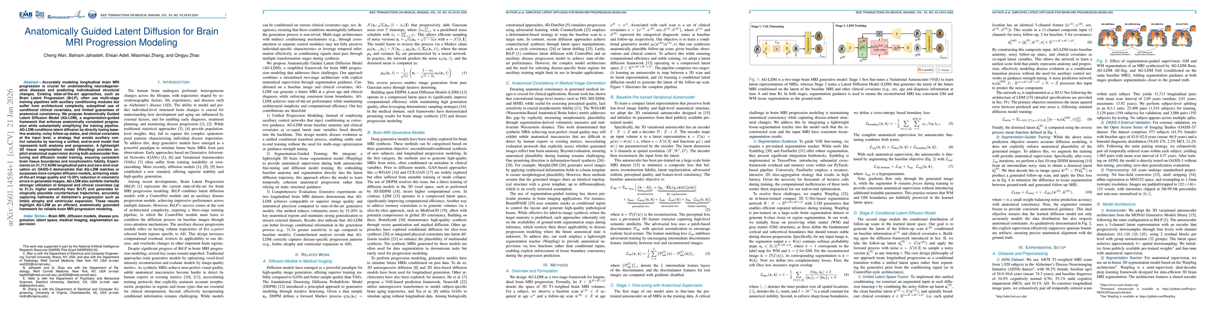 Thumbnail for Anatomically Guided Latent Diffusion for Brain MRI Progression Modeling
