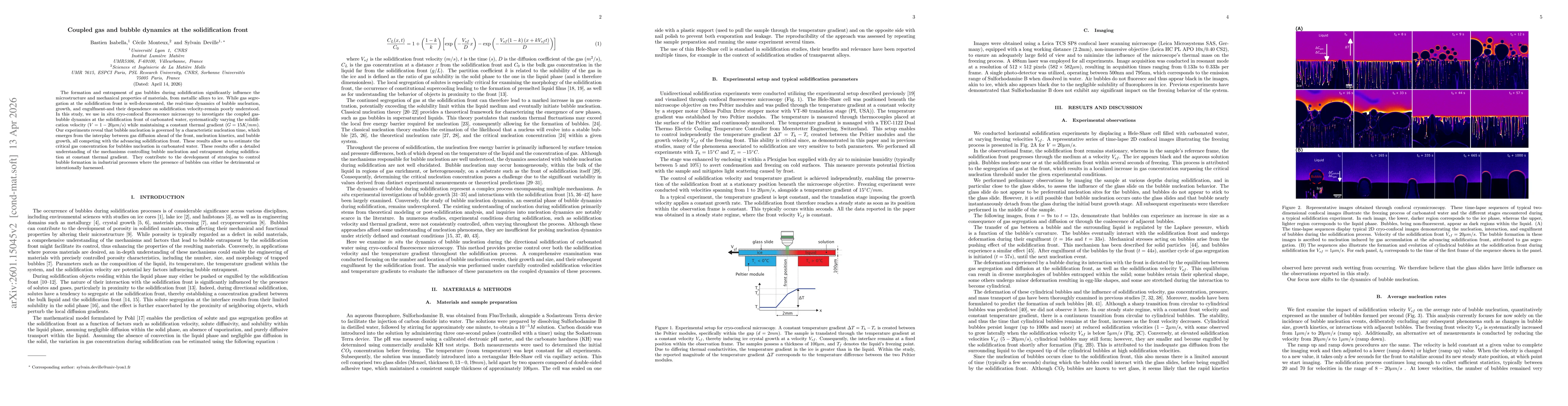 Thumbnail for Coupled gas and bubble dynamics at the solidification front