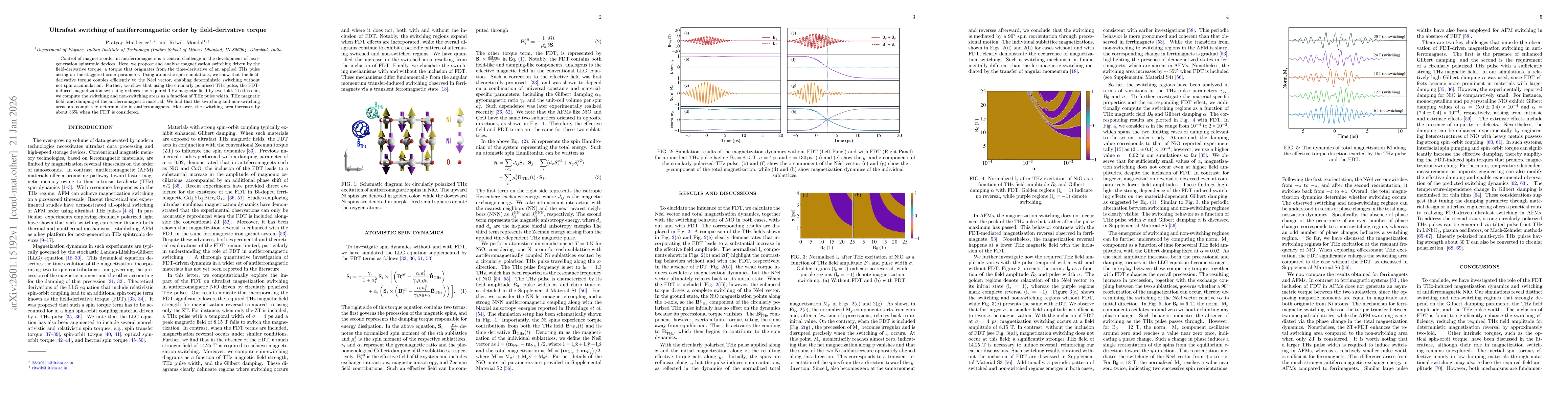 Thumbnail for Ultrafast switching of antiferromagnetic order by field-derivative torque