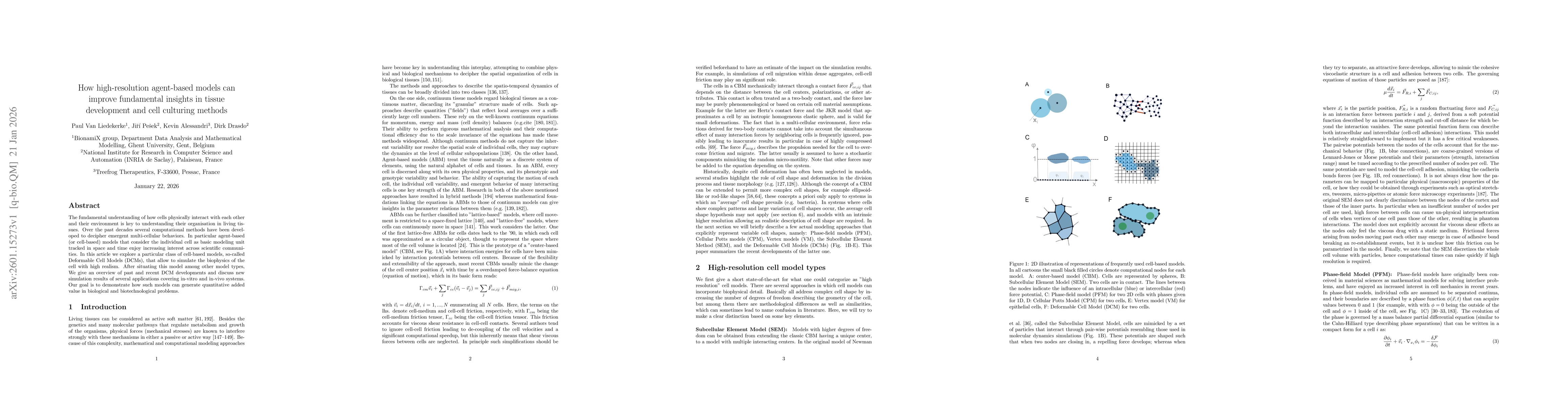 Thumbnail for How high-resolution agent-based models can improve fundamental insights in tissue development and cell culturing methods
