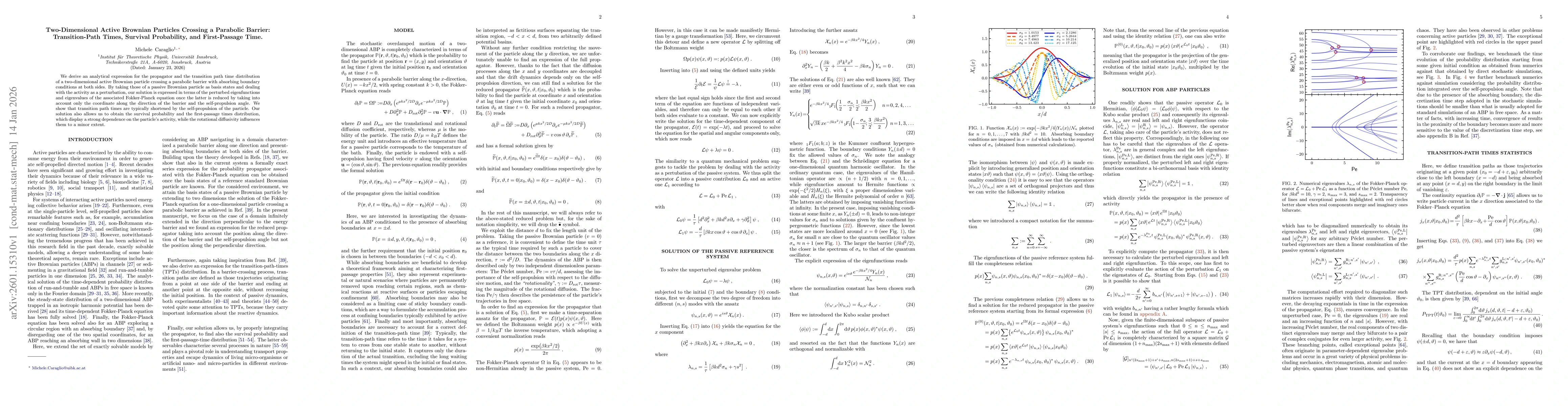 Thumbnail for Two-Dimensional Active Brownian Particles Crossing a Parabolic Barrier: Transition-Path Times, Survival Probability, and First-Passage Time