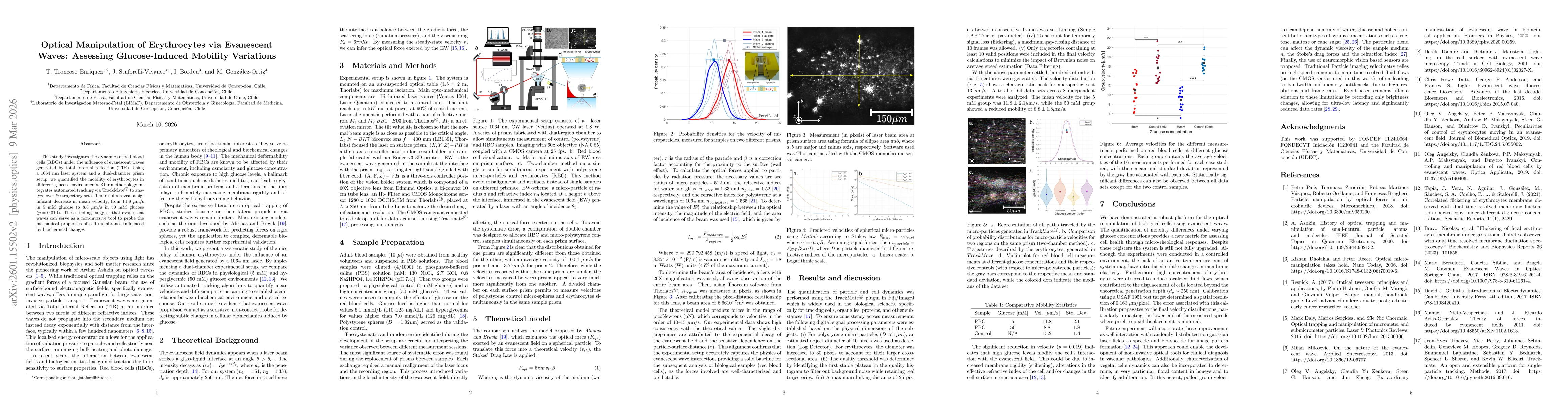 Thumbnail for Optical Manipulation of Erythrocytes via Evanescent Waves: Assessing Glucose-Induced Mobility Variations
