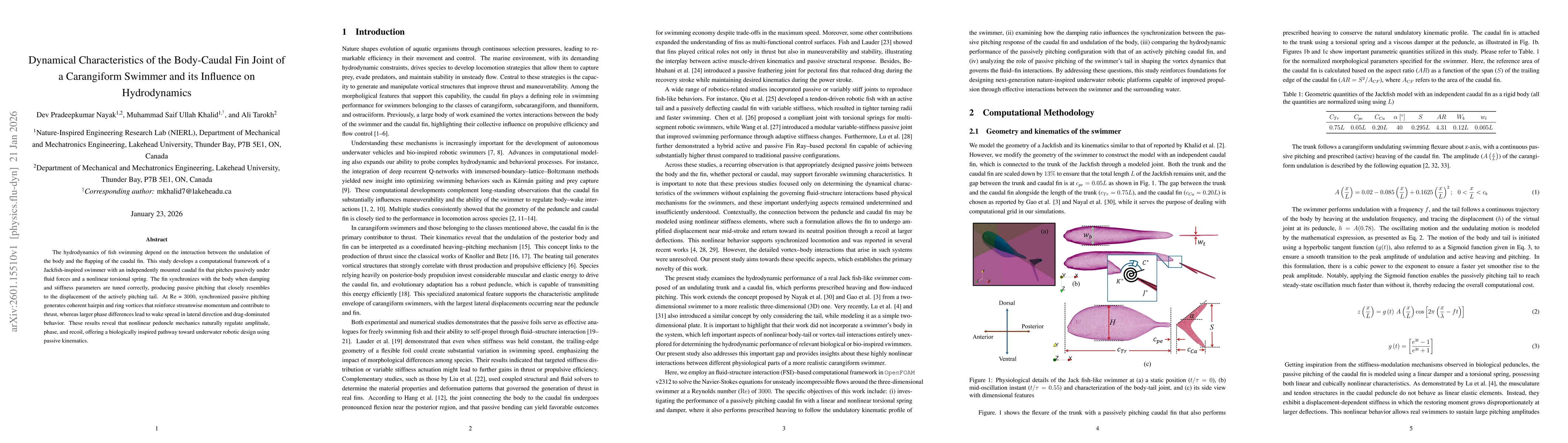 Thumbnail for Dynamical Characteristics of the Body-Caudal Fin Joint of a Carangiform Swimmer and its Influence on Hydrodynamics