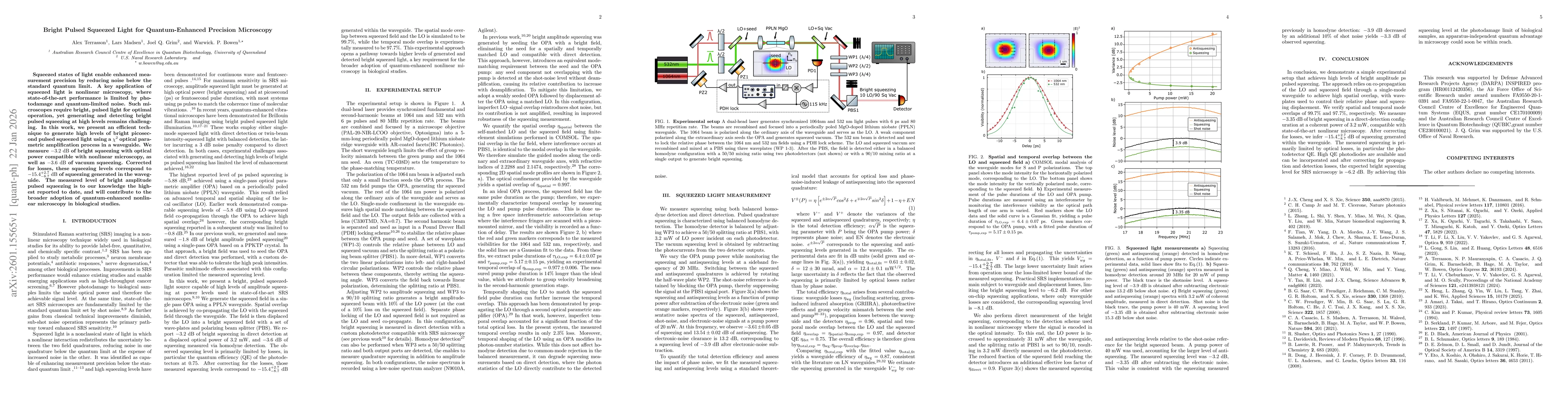 Thumbnail for Bright Pulsed Squeezed Light for Quantum-Enhanced Precision Microscopy