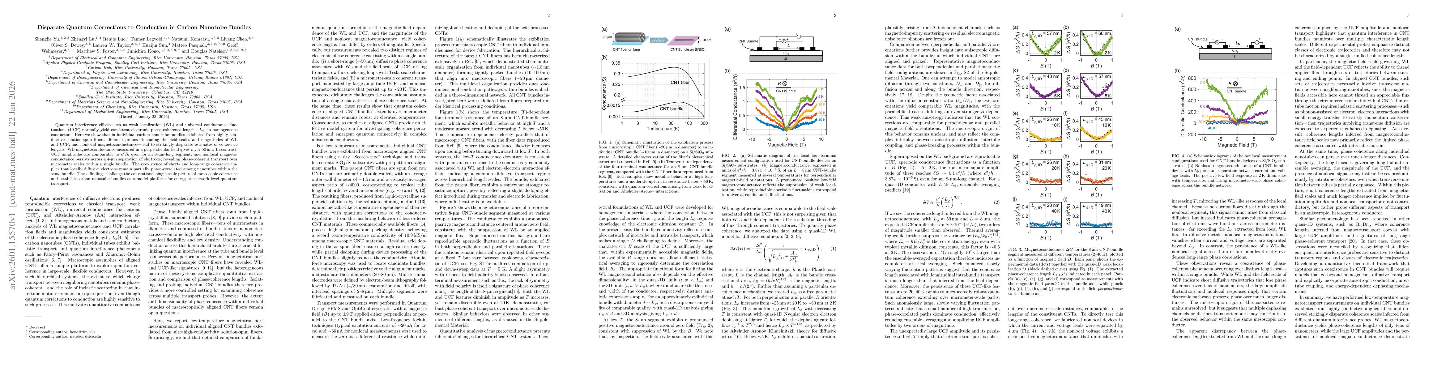 Thumbnail for Disparate Quantum Corrections to Conduction in Carbon Nanotube Bundles