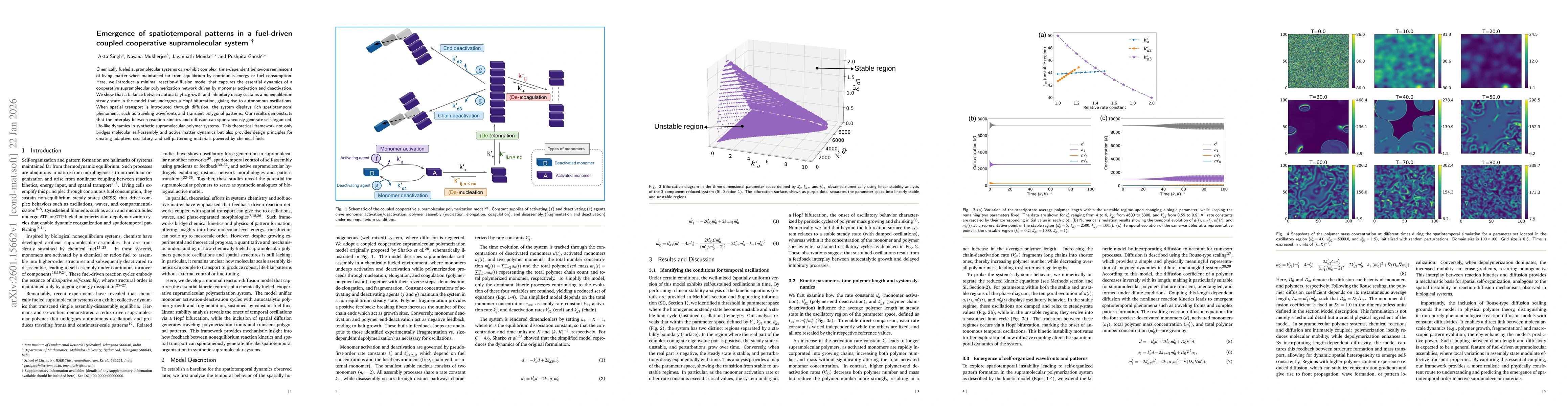 Thumbnail for Emergence of spatiotemporal patterns in a fuel-driven coupled cooperative supramolecular system