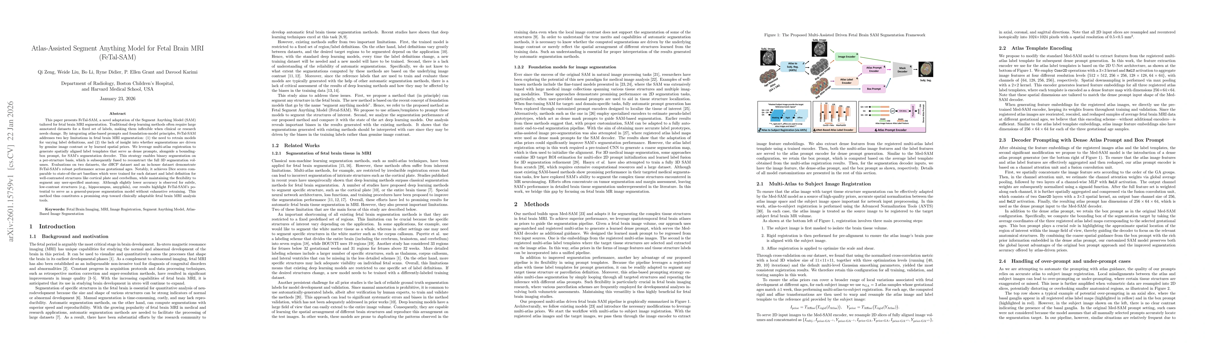 Thumbnail for Atlas-Assisted Segment Anything Model for Fetal Brain MRI (FeTal-SAM)