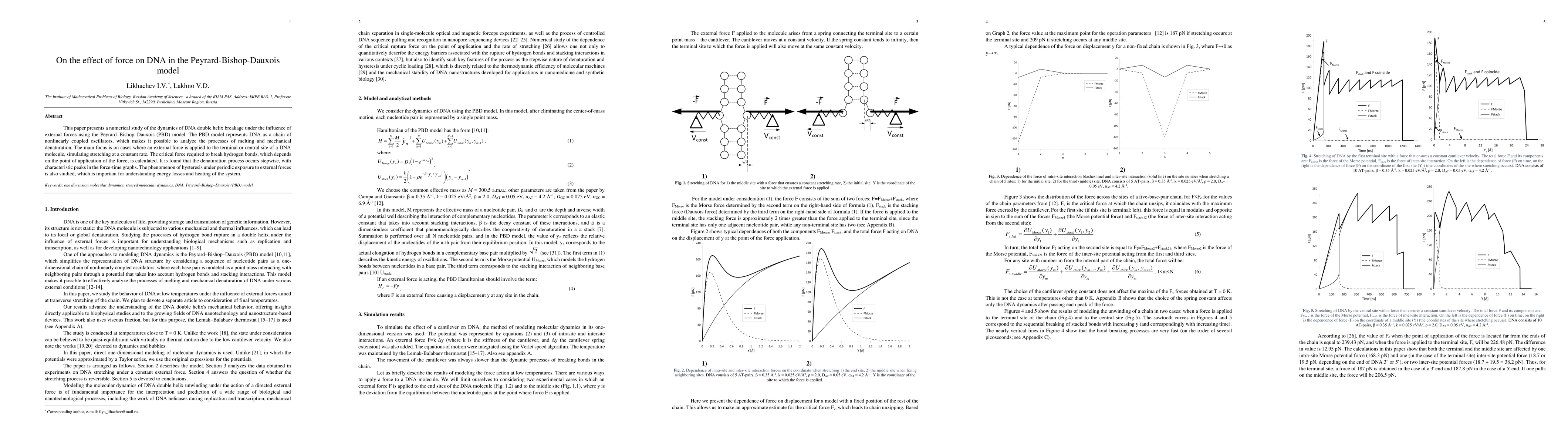Thumbnail for On the effect of force on DNA in the Peyrard-Bishop-Dauxois model