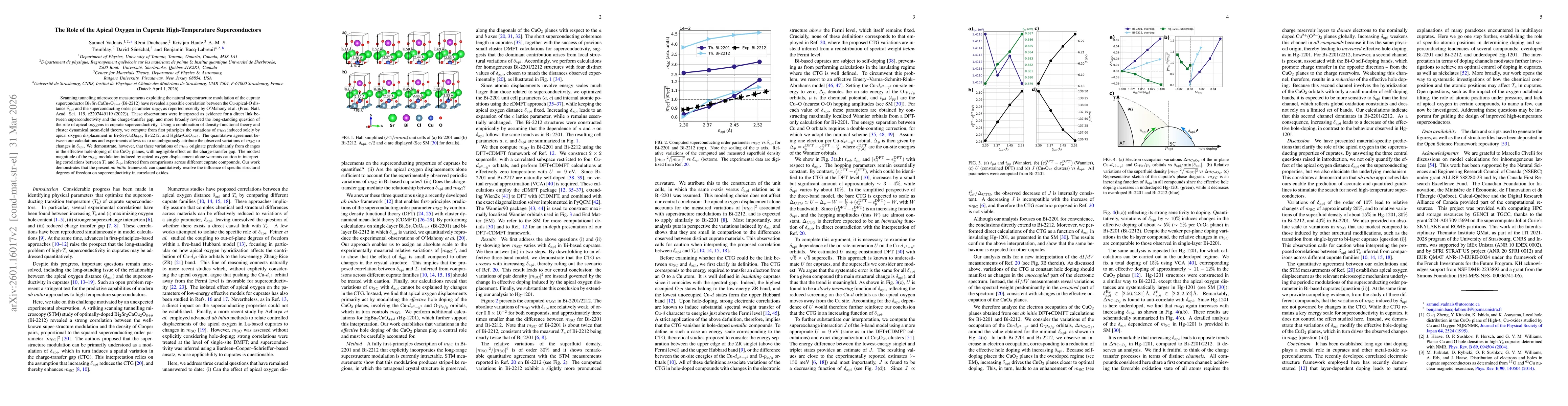 Thumbnail for The role of the apical oxygen in cuprate high-temperature superconductors