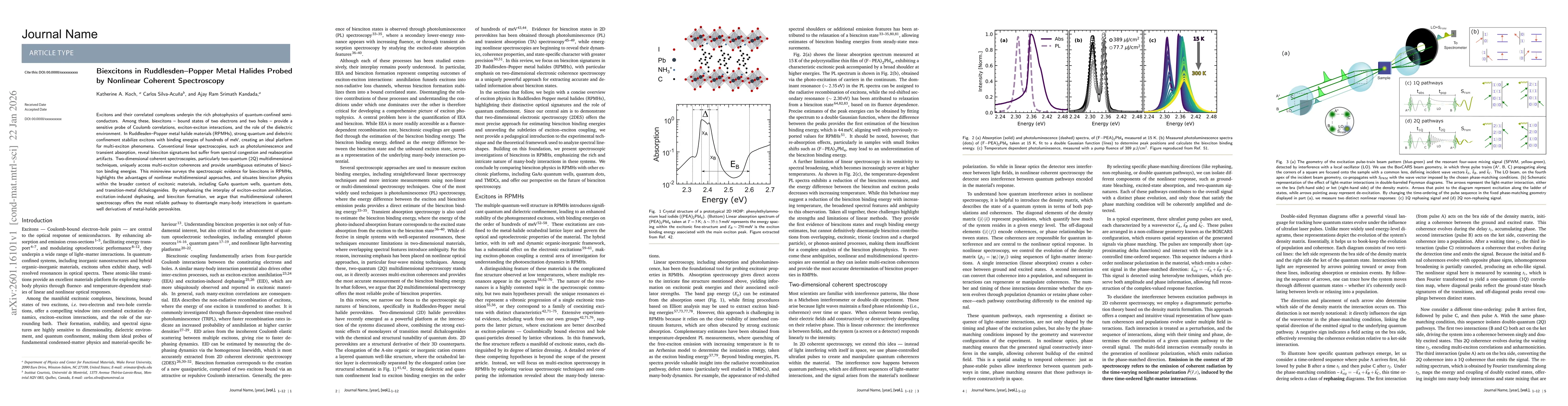 Thumbnail for Biexcitons in Ruddlesden-Popper Metal Halides Probed by Nonlinear Coherent Spectroscopy