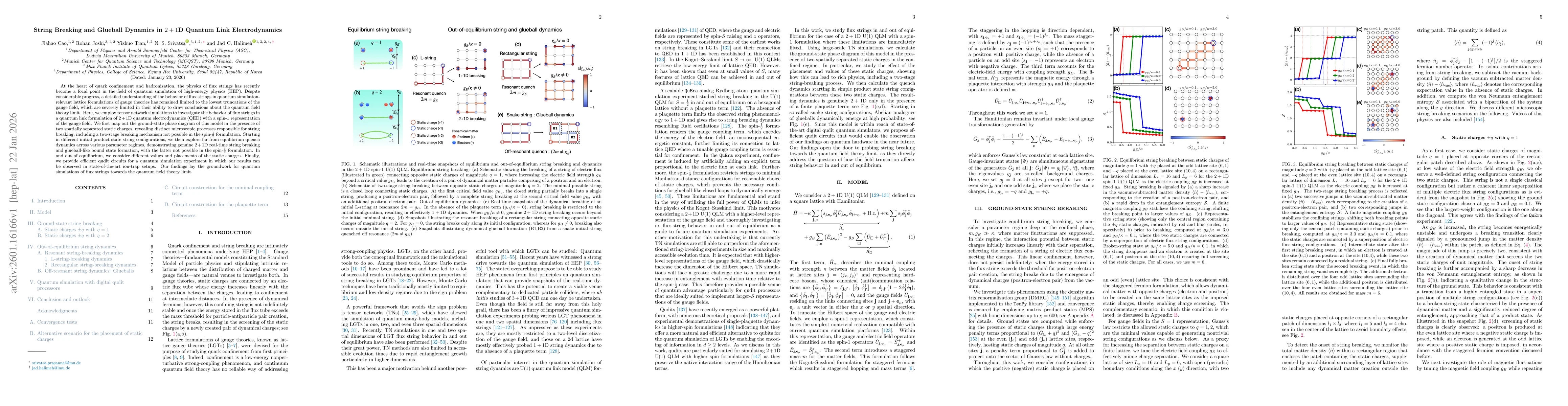 Thumbnail for String Breaking and Glueball Dynamics in $2+1$D Quantum Link Electrodynamics
