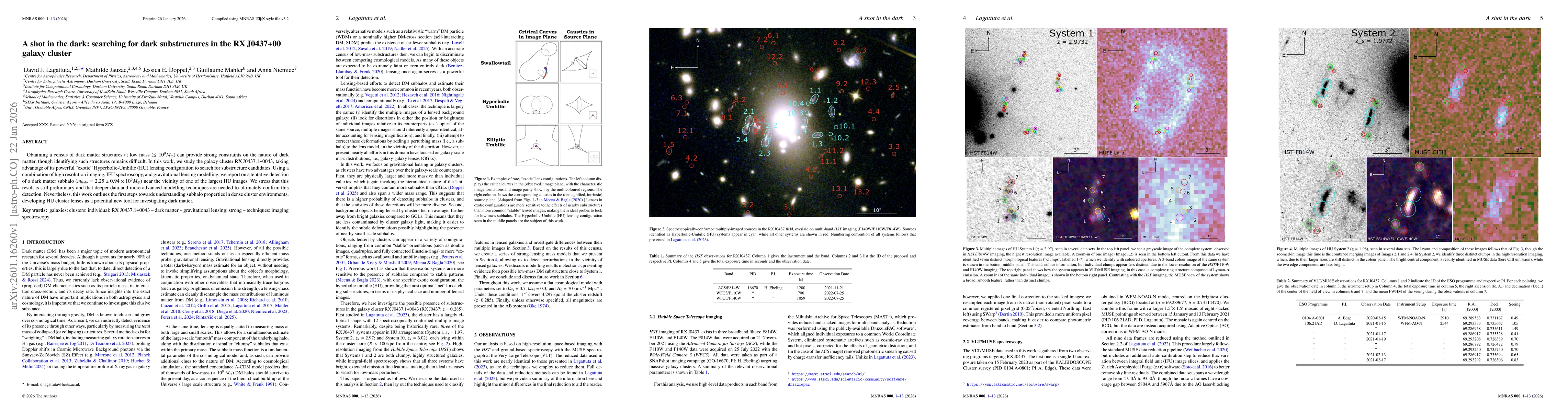 Thumbnail for A shot in the dark: searching for dark substructures in the RX J0437+00 galaxy cluster