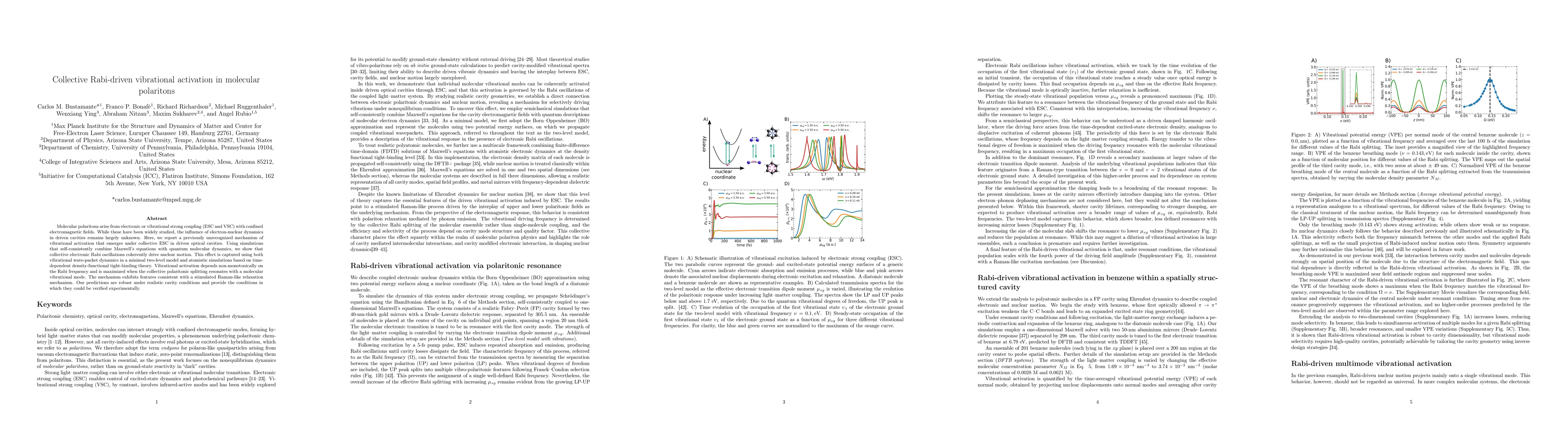 Thumbnail for Collective Rabi-driven vibrational activation in molecular polaritons
