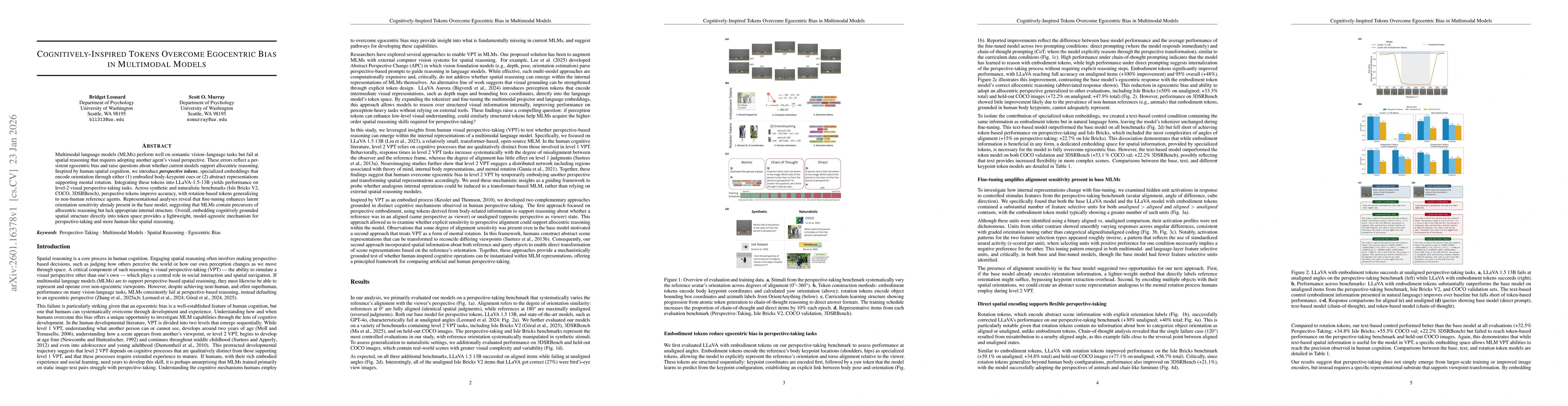 Thumbnail for Cognitively-Inspired Tokens Overcome Egocentric Bias in Multimodal Models