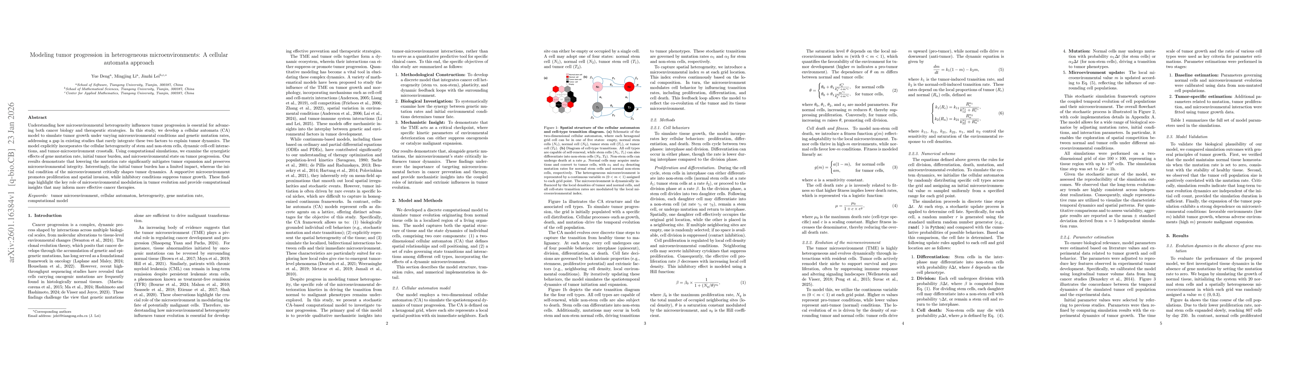 Thumbnail for Modeling tumor progression in heterogeneous microenvironments: A cellular automata approach