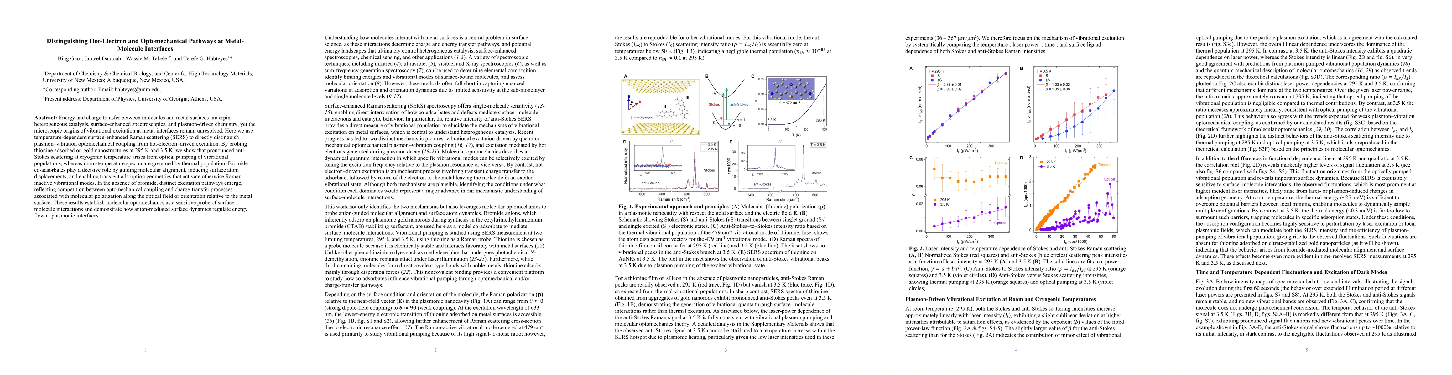 Thumbnail for Distinguishing Hot-Electron and Optomechanical Pathways at Metal-Molecule Interfaces