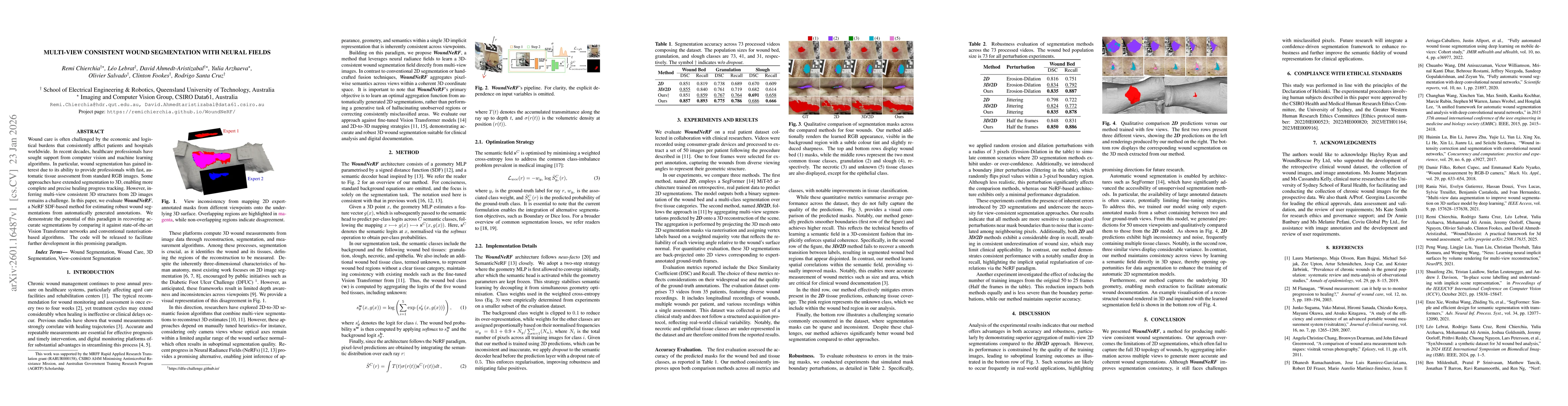 Thumbnail for Multi-View Consistent Wound Segmentation With Neural Fields
