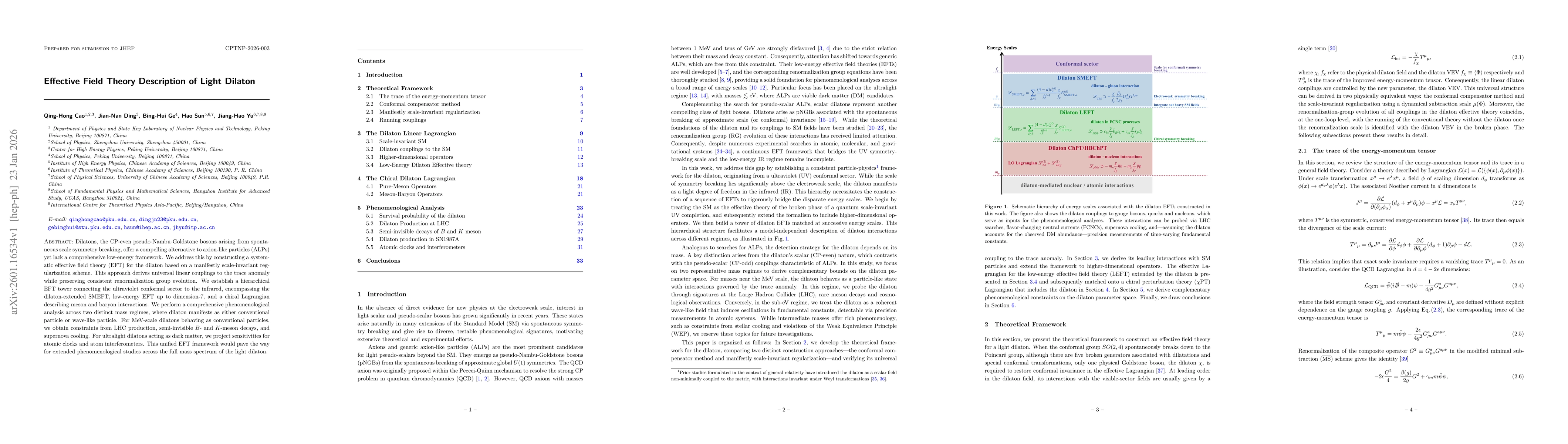 Thumbnail for Effective Field Theory Description of Light Dilaton