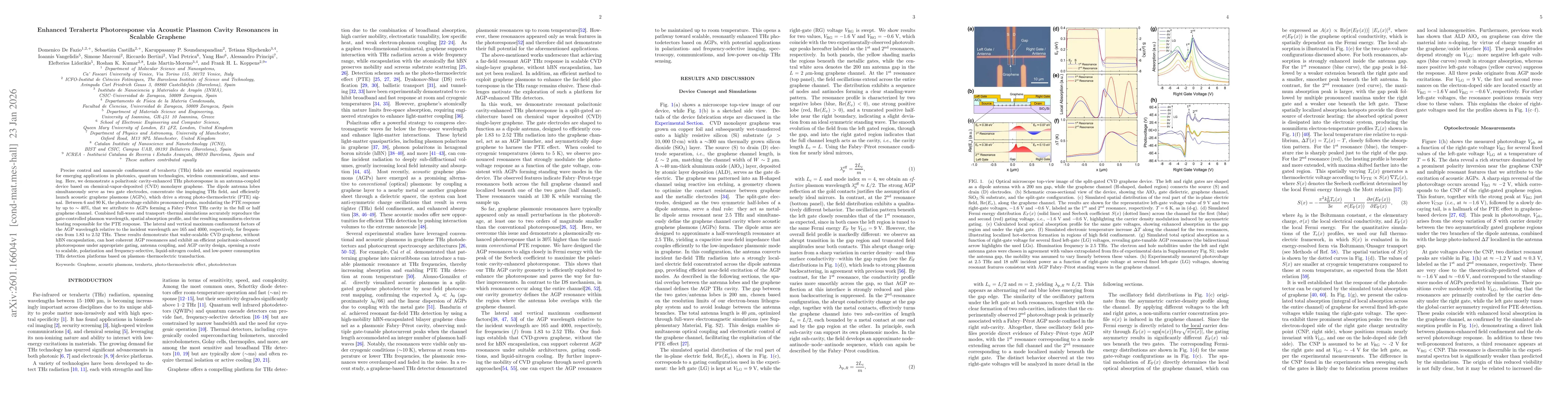 Thumbnail for Enhanced Terahertz Photoresponse via Acoustic Plasmon Cavity Resonances in Scalable Graphene