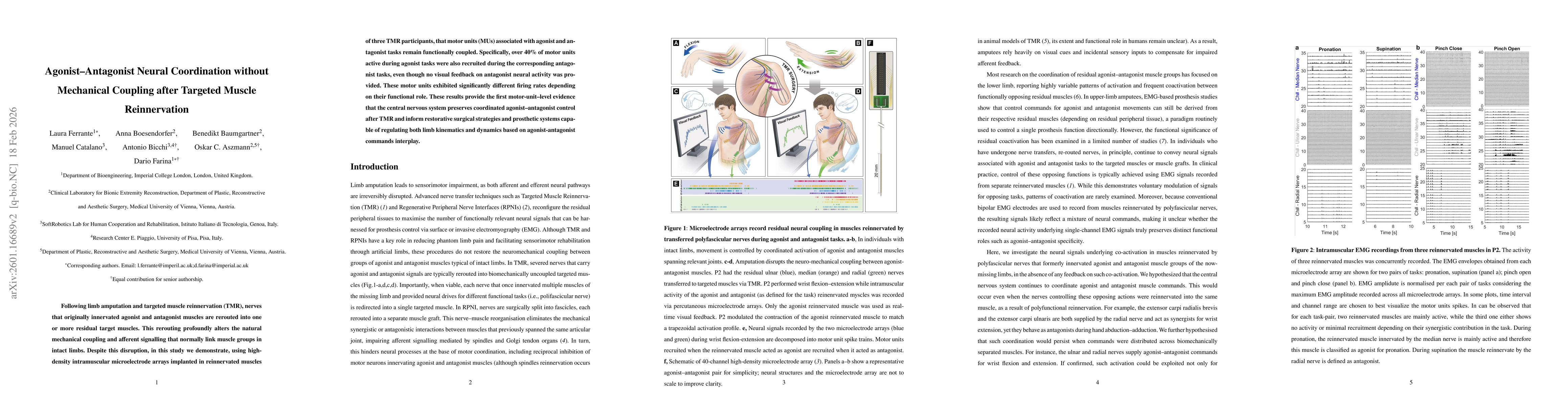 Thumbnail for Neural Agonist-Antagonist Coupling in the Absence of Mechanical Coupling after Targeted Muscle Reinnervation