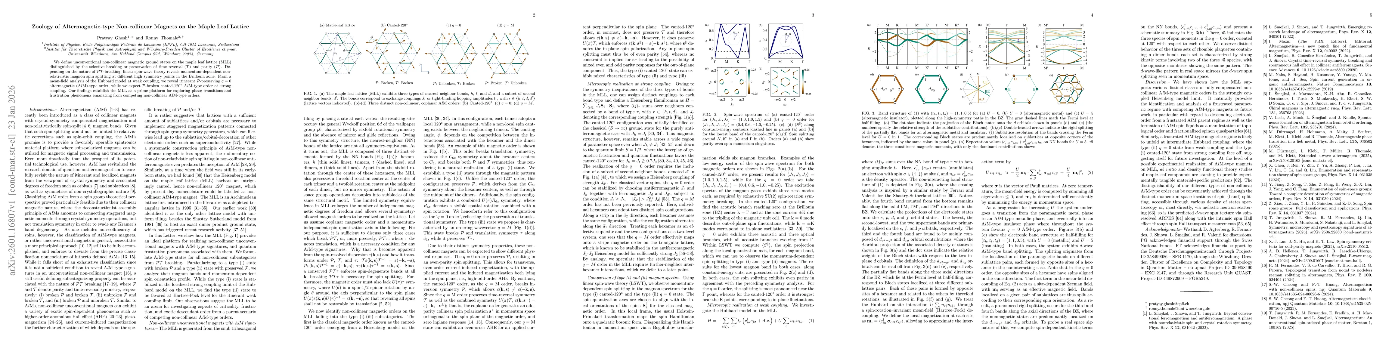 Thumbnail for Zoology of Altermagnetic-type Non-collinear Magnets on the Maple Leaf Lattice