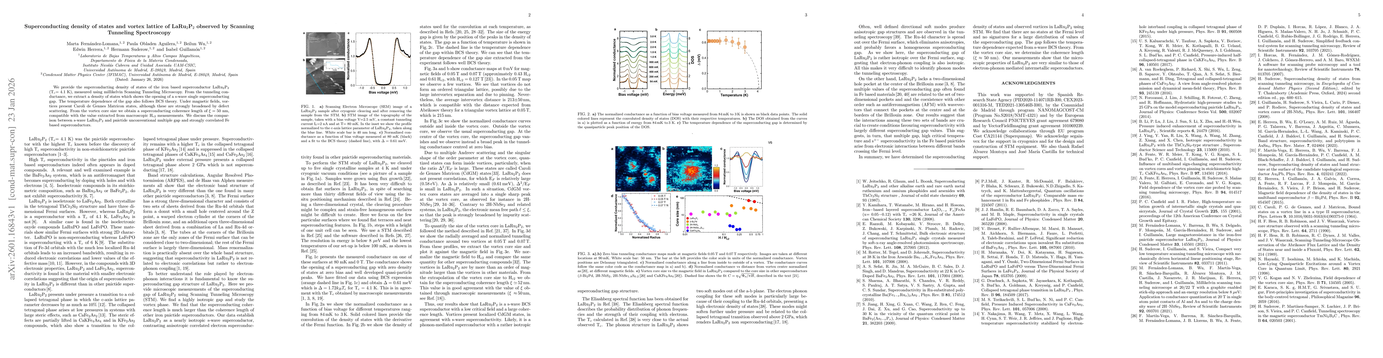 Thumbnail for Superconducting density of states and vortex lattice of LaRu$_2$P$_2$ observed by Scanning Tunneling Spectroscopy