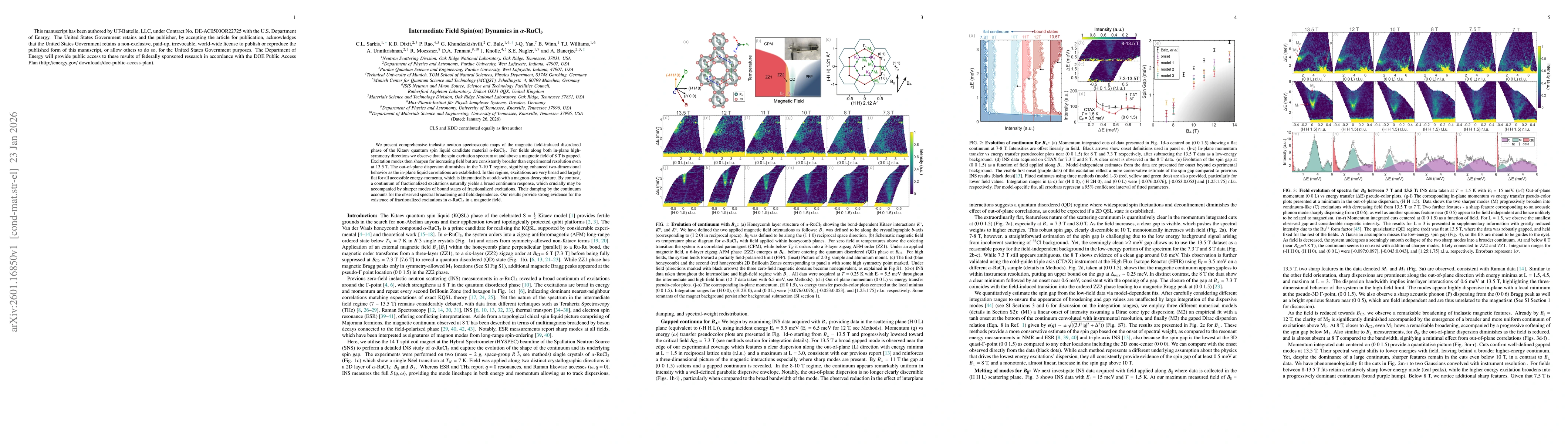 Thumbnail for Intermediate Field Spin(on) Dynamics in $α$-RuCl$_3$