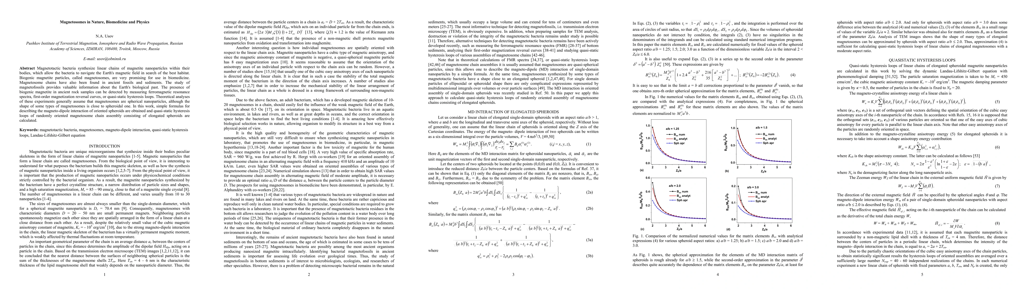 Thumbnail for Magnetosomes in Nature, Biomedicine and Physics