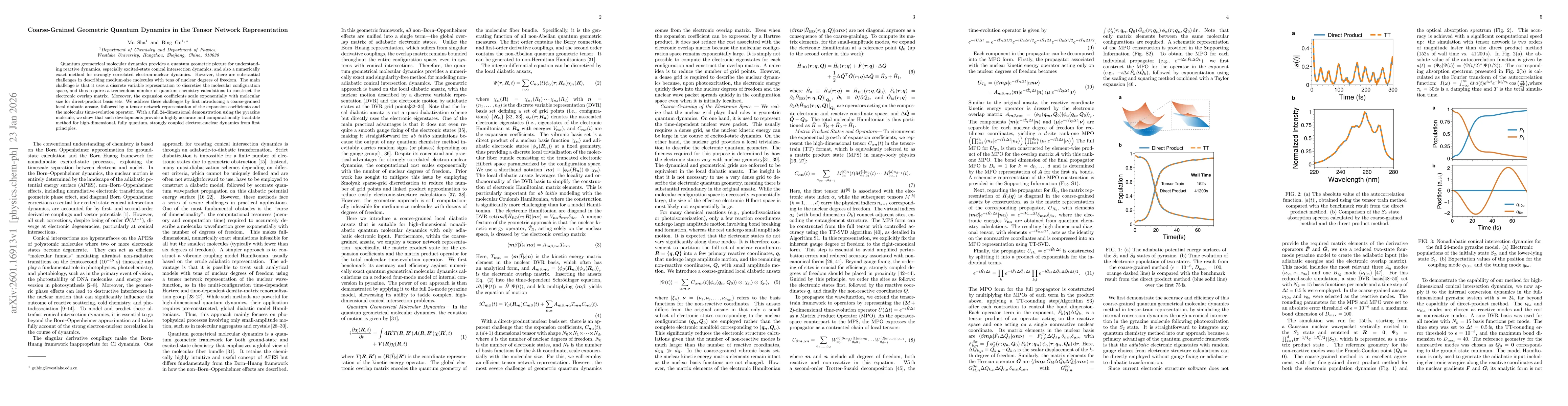 Thumbnail for Coarse-Grained Geometric Quantum Dynamics in the Tensor Network Representation